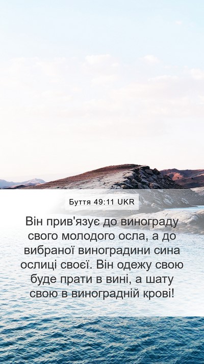 Буття 49:11 UKR Bible Verse Image