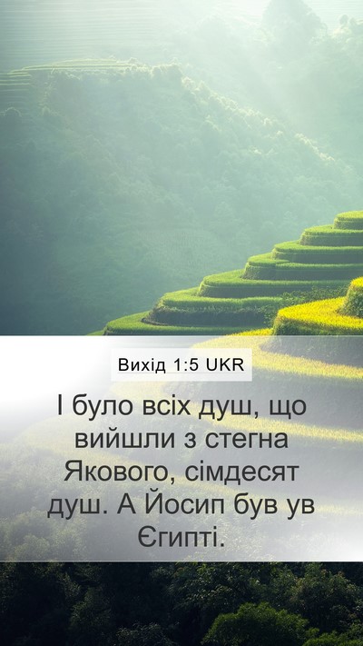 Вихід 1:5 UKR Bible Verse Image