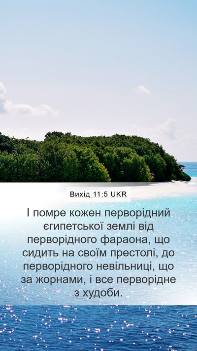 Вихід 11:5 UKR Bible Verse Image