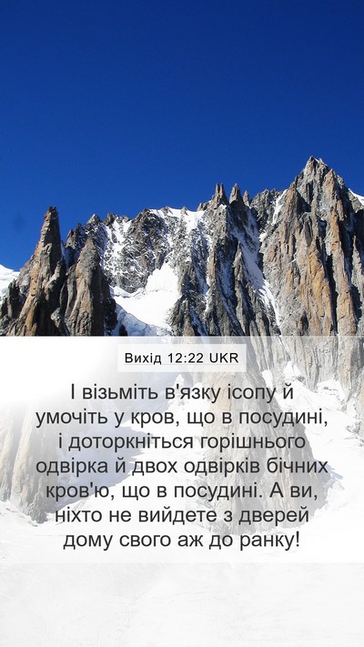 Вихід 12:22 UKR Bible Verse Image