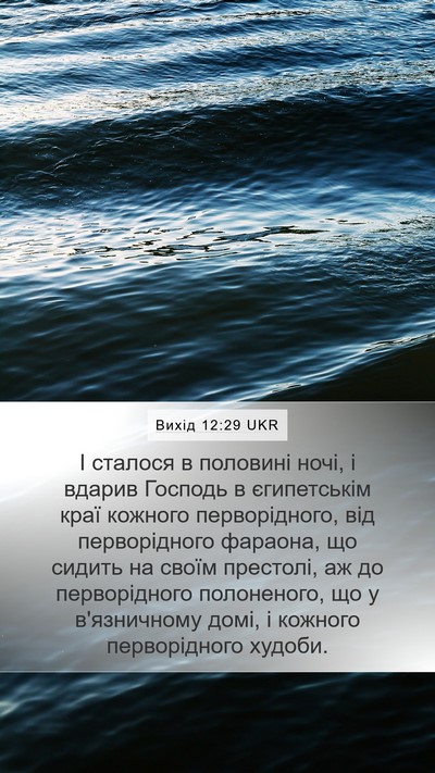 Вихід 12:29 UKR Bible Verse Image