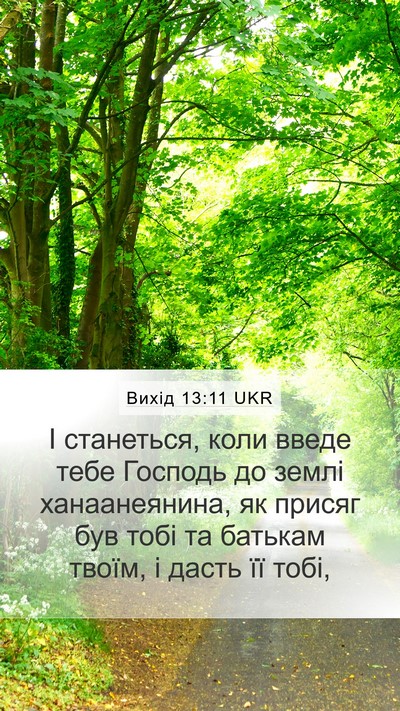 Вихід 13:11 UKR Mobile Phone Wallpaper - І станеться, коли введе - Mobile Bible Verse Wallpaper