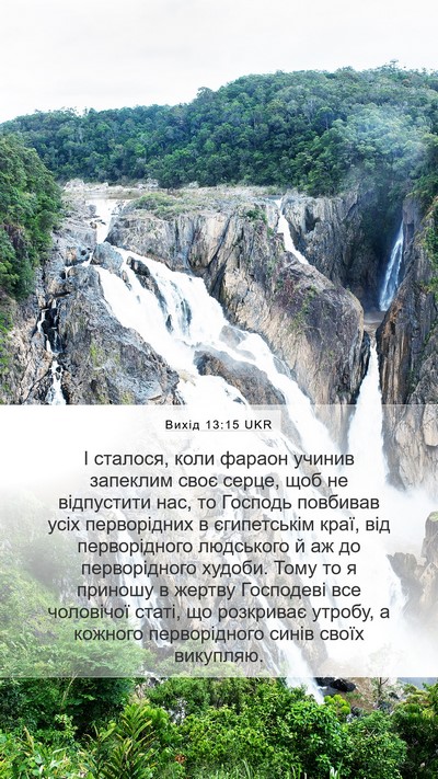 Вихід 13:15 UKR Bible Verse Image