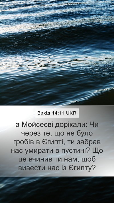 Вихід 14:11 UKR Bible Verse Image