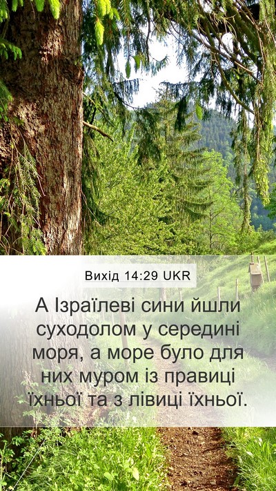 Вихід 14:29 UKR Bible Verse Image