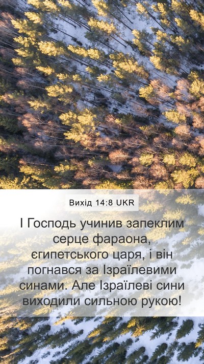 Вихід 14:8 UKR Bible Verse Image