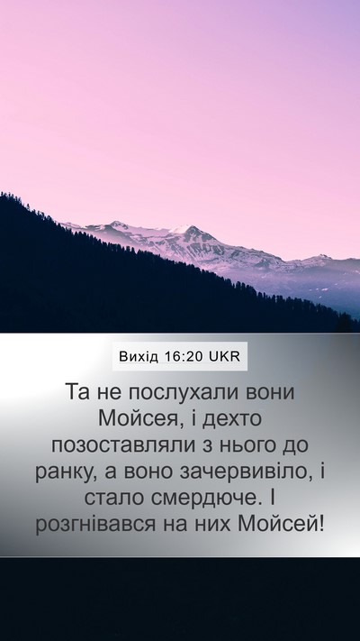 Вихід 16:20 UKR Bible Verse Image