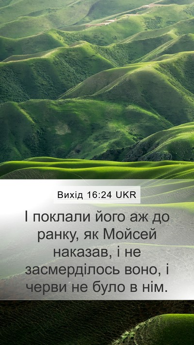 Вихід 16:24 UKR Mobile Phone Wallpaper - І поклали його аж до ранку, - Mobile Bible Verse Wallpaper