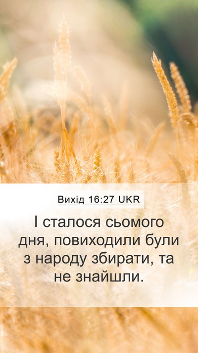 Вихід 16:27 UKR Bible Verse Image
