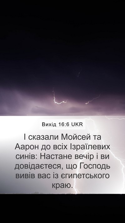 Вихід 16:6 UKR Mobile Phone Wallpaper - І сказали Мойсей та Аарон - Mobile Bible Verse Wallpaper