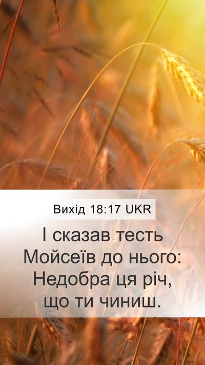 Вихід 18:17 UKR Bible Verse Image