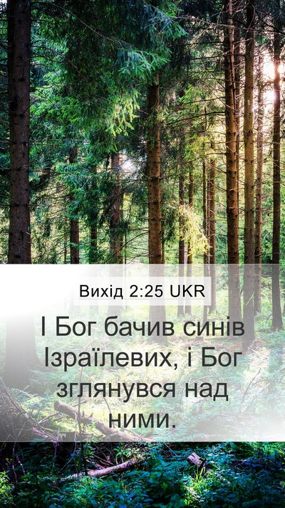 Вихід 2:25 UKR Bible Verse Image