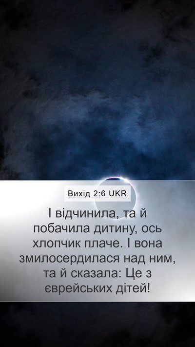 Вихід 2:6 UKR Bible Verse Image