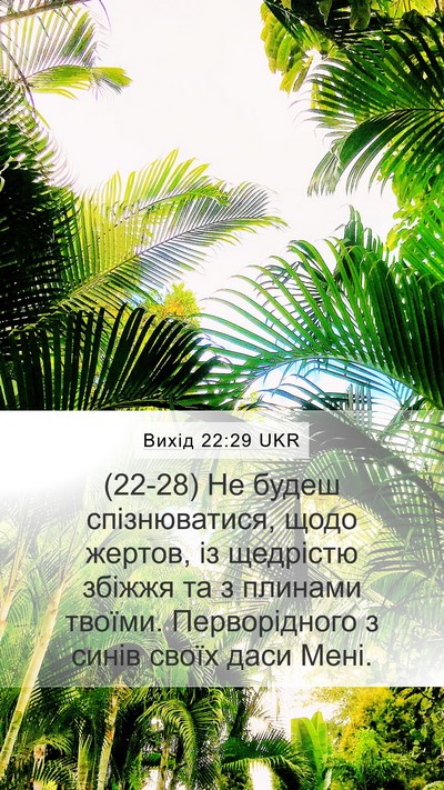 Вихід 22:29 UKR Bible Verse Image
