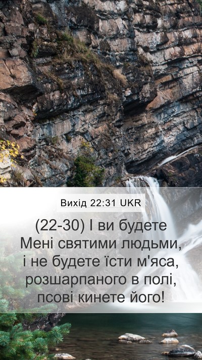 Вихід 22:31 UKR Bible Verse Image