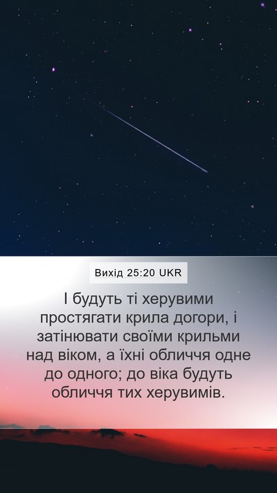 Вихід 25:20 UKR Bible Verse Image