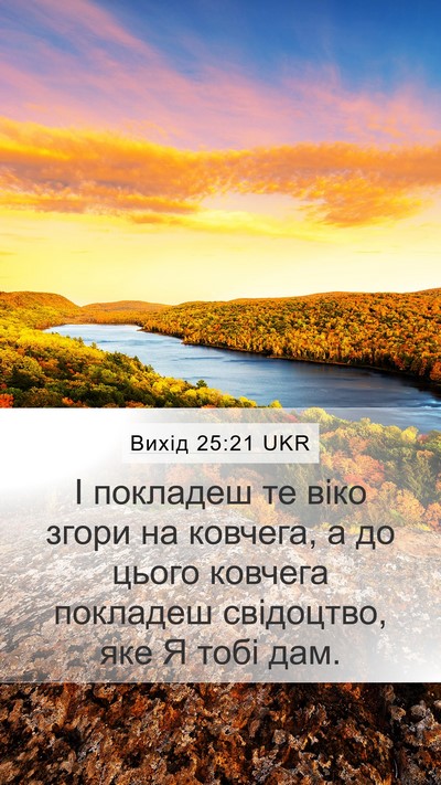 Вихід 25:21 UKR Bible Verse Image