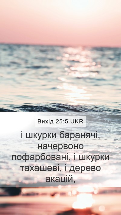 Вихід 25:5 UKR Bible Verse Image