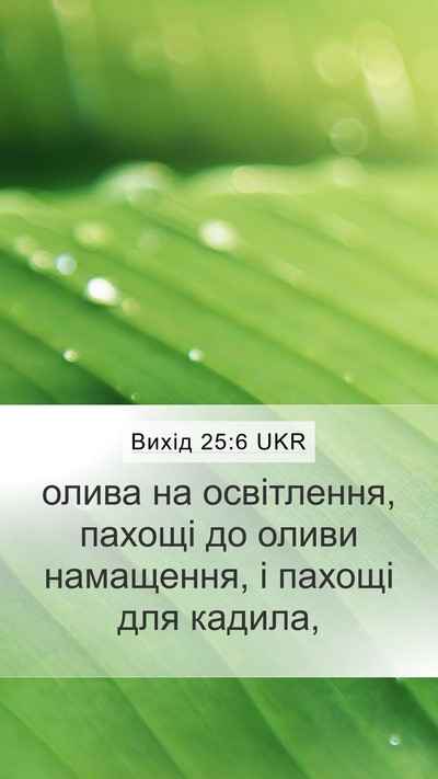 Вихід 25:6 UKR Bible Verse Image
