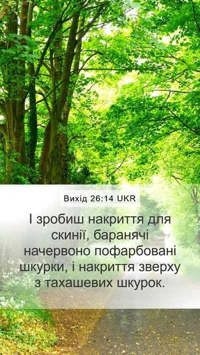 Вихід 26:14 UKR Bible Verse Image