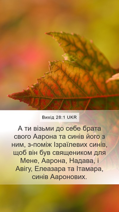 Вихід 28:1 UKR Bible Verse Image