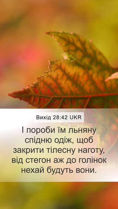 Вихід 28:42 UKR Bible Verse Image