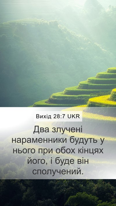 Вихід 28:7 UKR Mobile Phone Wallpaper - Два злучені нараменники - Mobile Bible Verse Wallpaper