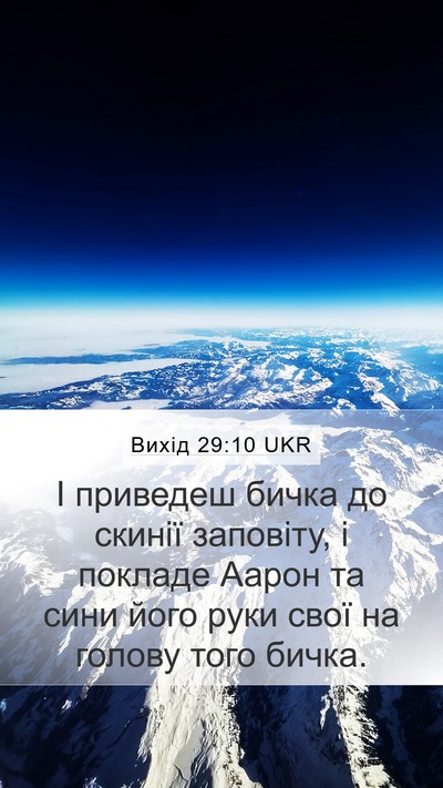 Вихід 29:10 UKR Bible Verse Image