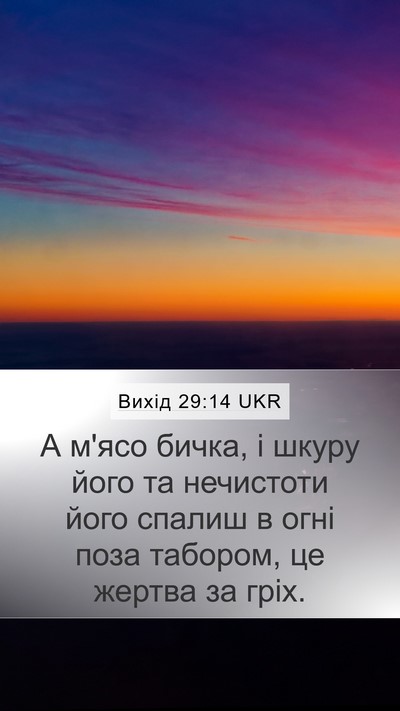 Вихід 29:14 UKR Bible Verse Image