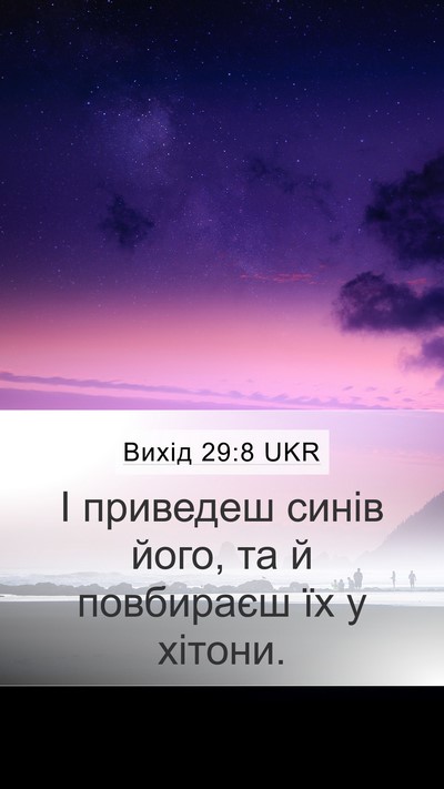 Вихід 29:8 UKR Bible Verse Image