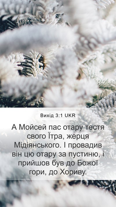 Вихід 3:1 UKR Bible Verse Image
