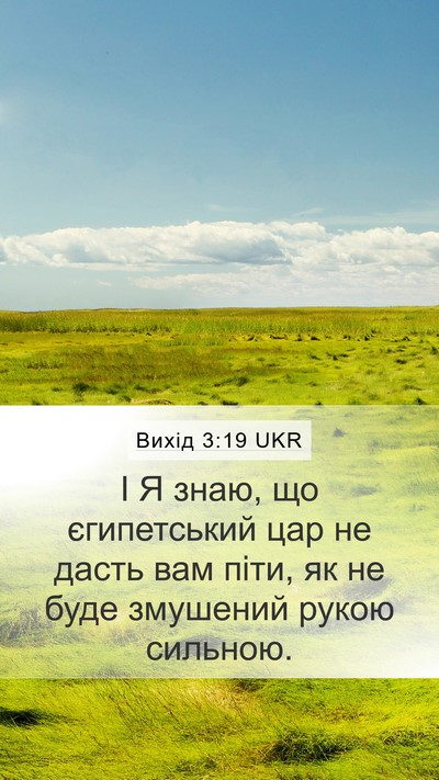 Вихід 3:19 UKR Bible Verse Image