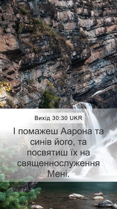 Вихід 30:30 UKR Bible Verse Image