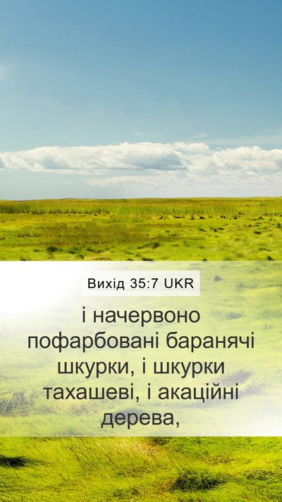 Вихід 35:7 UKR Bible Verse Image