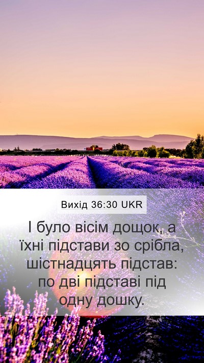 Вихід 36:30 UKR Mobile Phone Wallpaper - І було вісім дощок, а їхні - Mobile Bible Verse Wallpaper