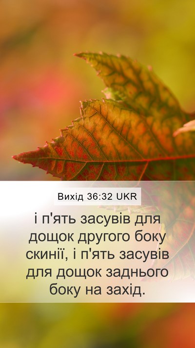 Вихід 36:32 UKR Mobile Phone Wallpaper - і п'ять засувів для дощок - Mobile Bible Verse Wallpaper