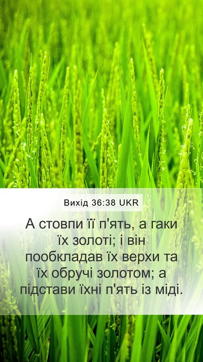Вихід 36:38 UKR Bible Verse Image