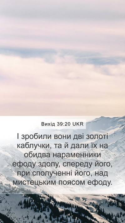 Вихід 39:20 UKR Bible Verse Image