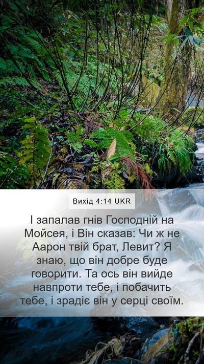 Вихід 4:14 UKR Bible Verse Image