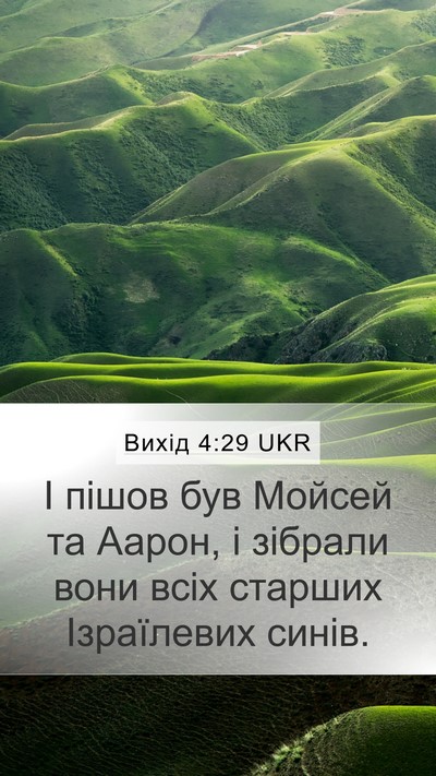 Вихід 4:29 UKR Bible Verse Image