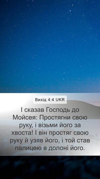 Вихід 4:4 UKR Bible Verse Image