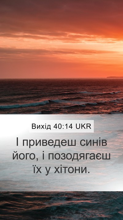 Вихід 40:14 UKR Bible Verse Image