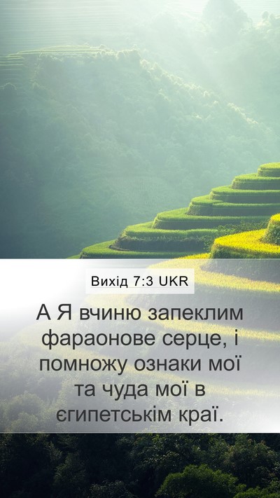 Вихід 7:3 UKR Bible Verse Image