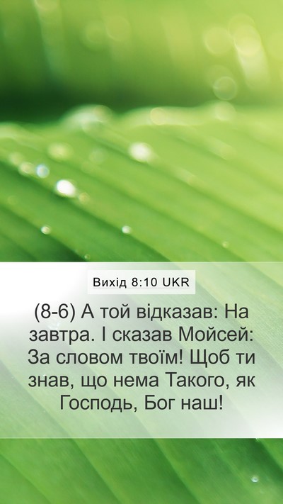 Вихід 8:10 UKR Bible Verse Image