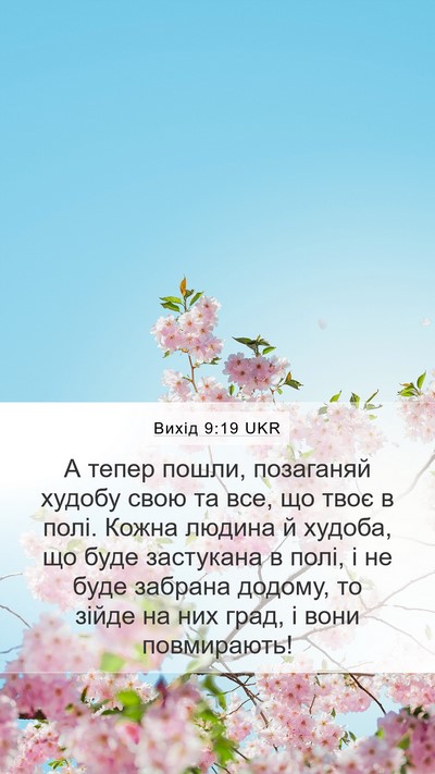 Вихід 9:19 UKR Bible Verse Image