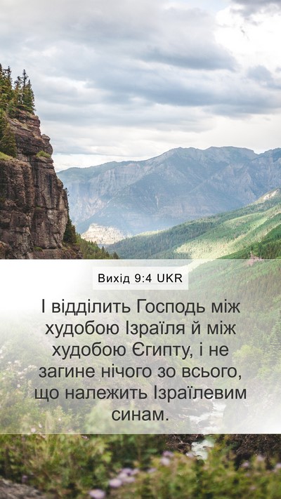 Вихід 9:4 UKR Bible Verse Image