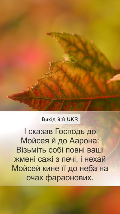 Вихід 9:8 UKR Bible Verse Image