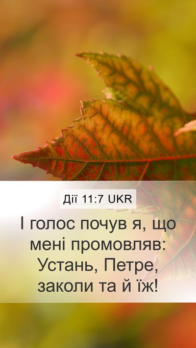 Дії 11:7 UKR Bible Verse Image