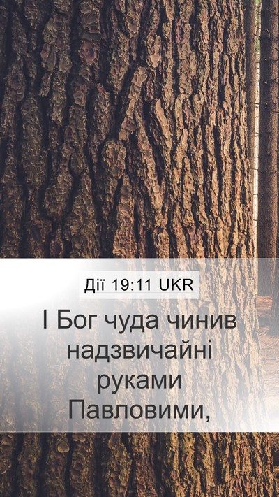 Дії 19:11 UKR Bible Verse Image