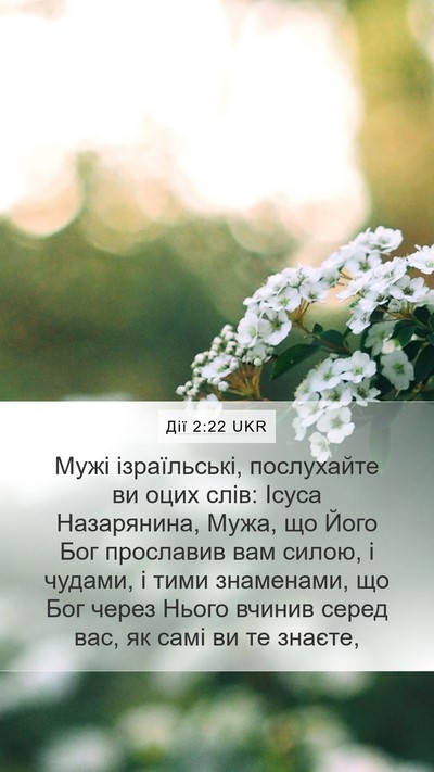 Дії 2:22 UKR Bible Verse Image